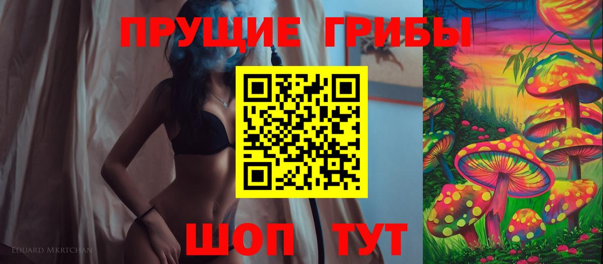 Галлюциногенные грибы Psilocybe Москва
