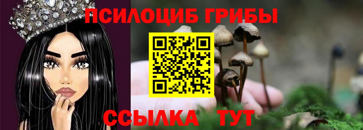 Галлюциногенные грибы GOLDEN TEACHER  Вход с VPN  Москва 